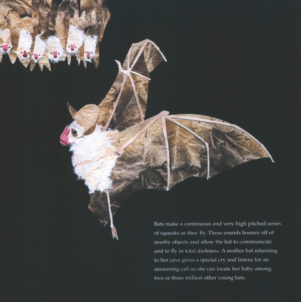 Bats make a continuous and very high pitched series of squeaks as they fly - photo 19