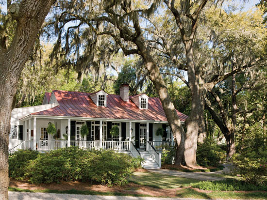 Live oaks whisper through Spanish moss as the ferns dance in the Lowcountry - photo 14