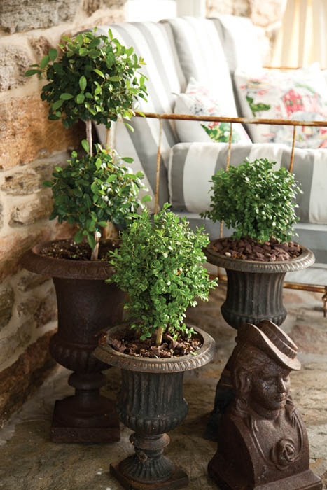 A trilogy of topiaries The porch can be a garden extension too showcasing a - photo 13