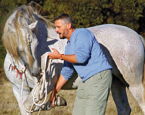 Foreword - The practical and spiritual foundations of Life with horses - photo 4