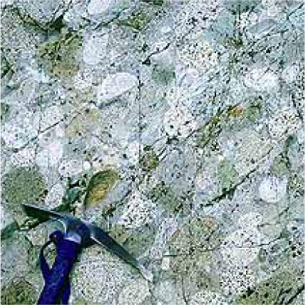 Plate 5B Conglomerate of the Methow Ocean near Woody Pass The cobbles of - photo 18