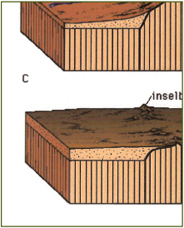 Landforms - photo 4