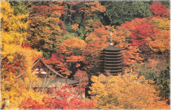 Autumn scene at Tanzan Shrine Yakushi-ji in the light of dawn - photo 13