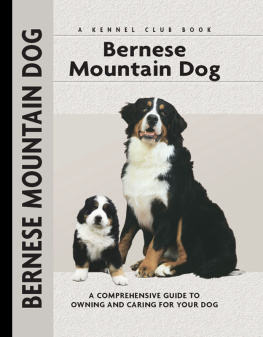 Louise Harper - Bernese Mountain Dog