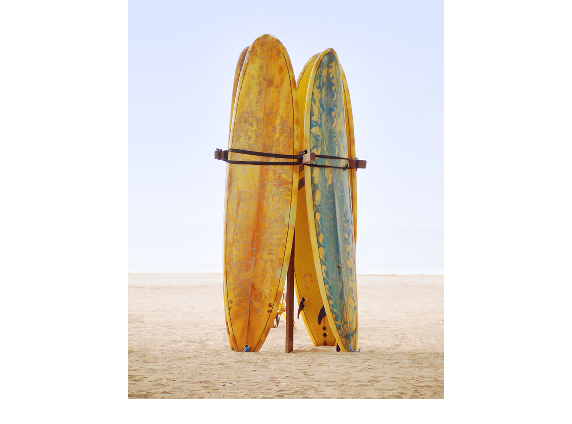 Surfers leave their surfboards upright in the sand when theyre not in the - photo 14