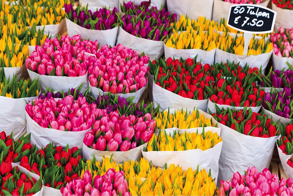 Top Attraction 7 Getty Images Bloemenmarkt Colourful flowers on display all - photo 10