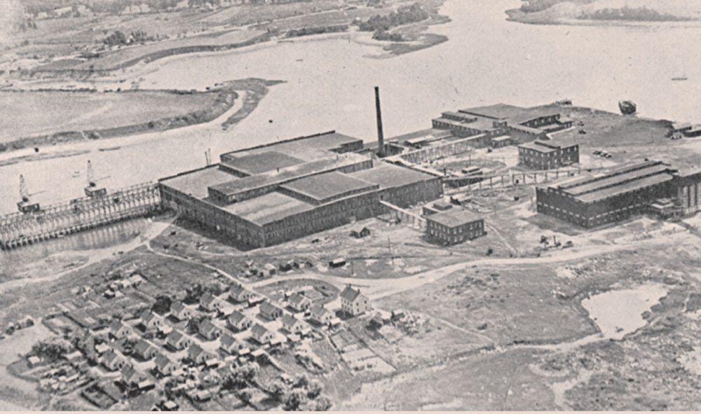 Bradley Fertilizer Company the largest fertilizer works in the country stood - photo 3