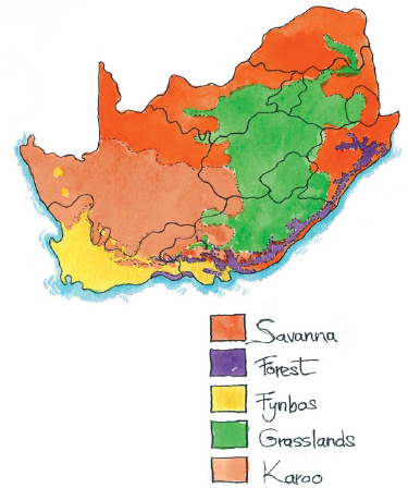 The birds you see in your garden differ according to where in the country you - photo 12