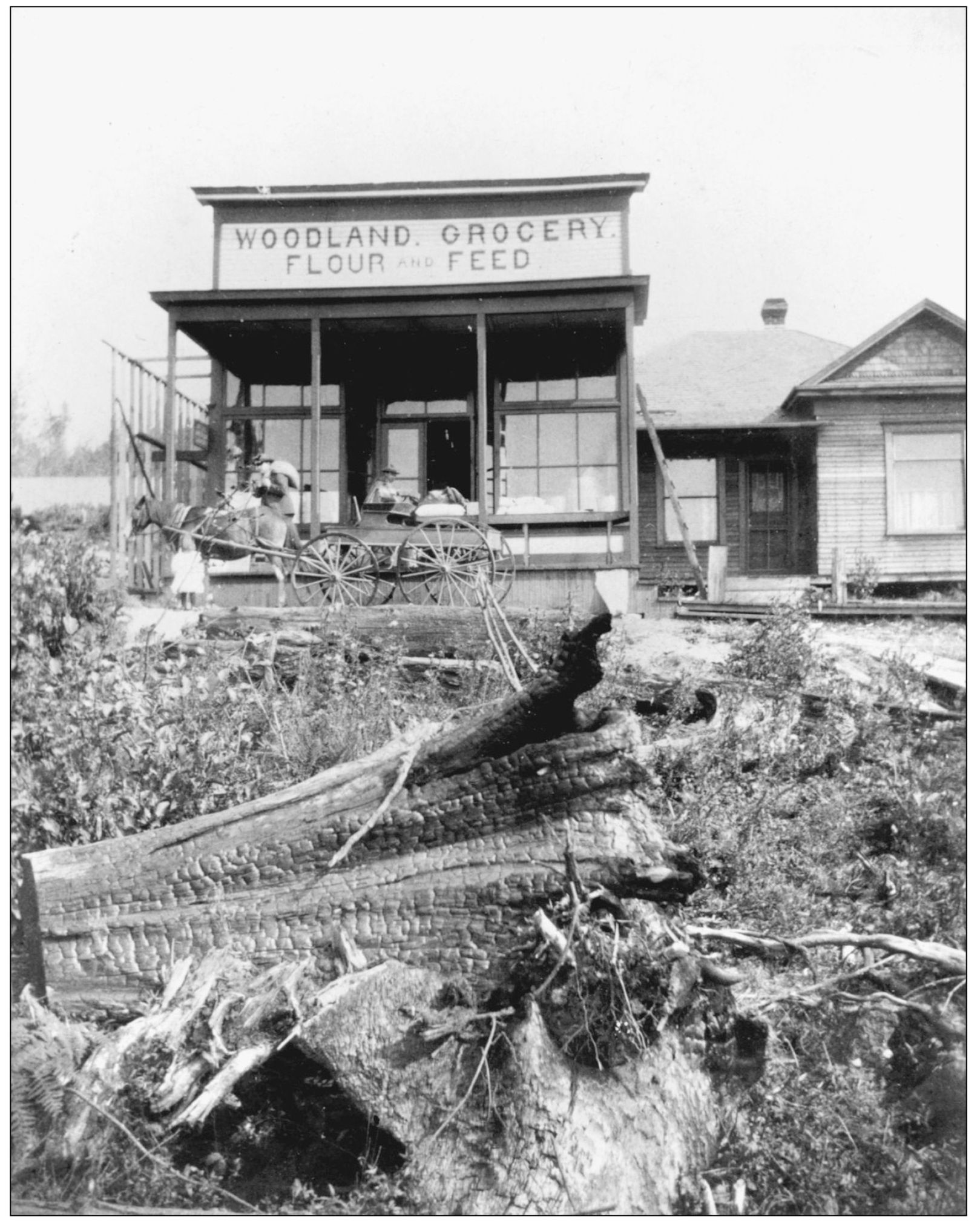 The Woodland Grocery Flour and Feed store was owned and operated by Rasmus - photo 9