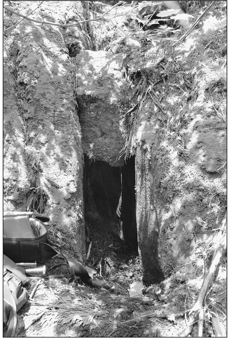 Intrepid explorers around Snoqualmie Pass still discover old mines such as the - photo 7