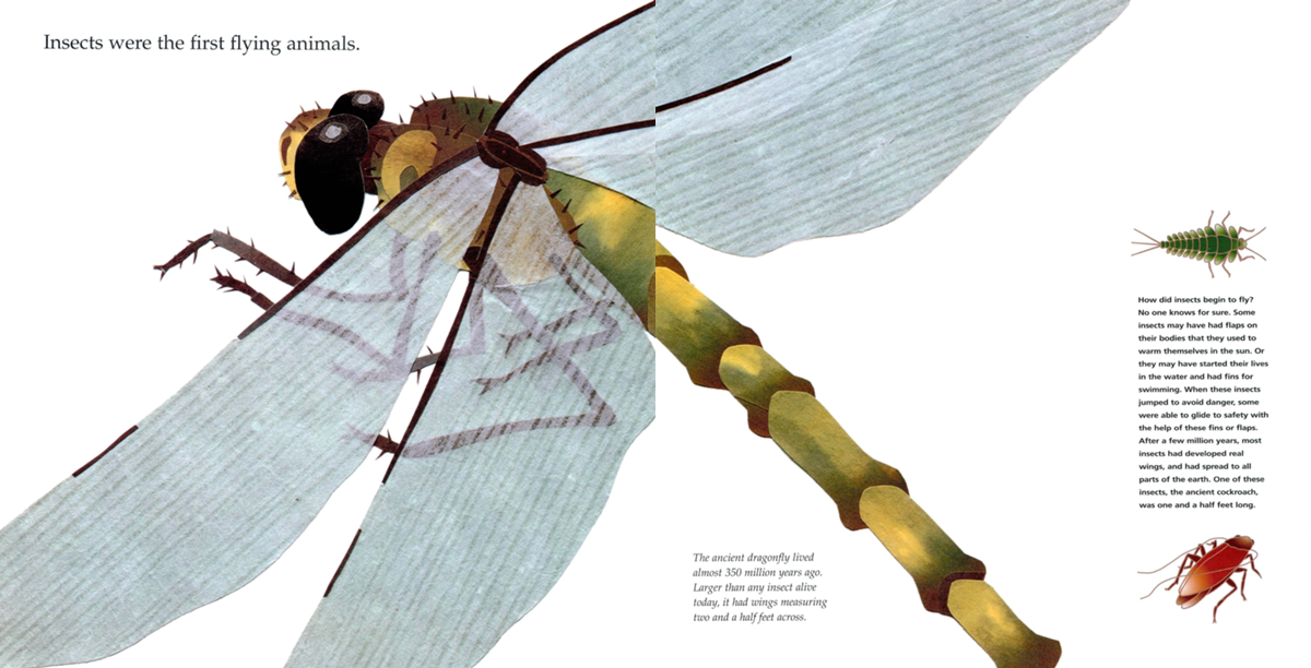 Insects were the first flying animals The ancient dragonfly lived almost 350 - photo 5