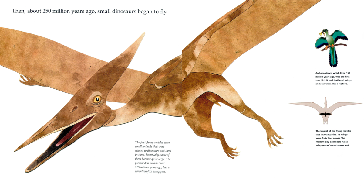 Then about 250 million years ago small dinosaurs began to fly The first - photo 8