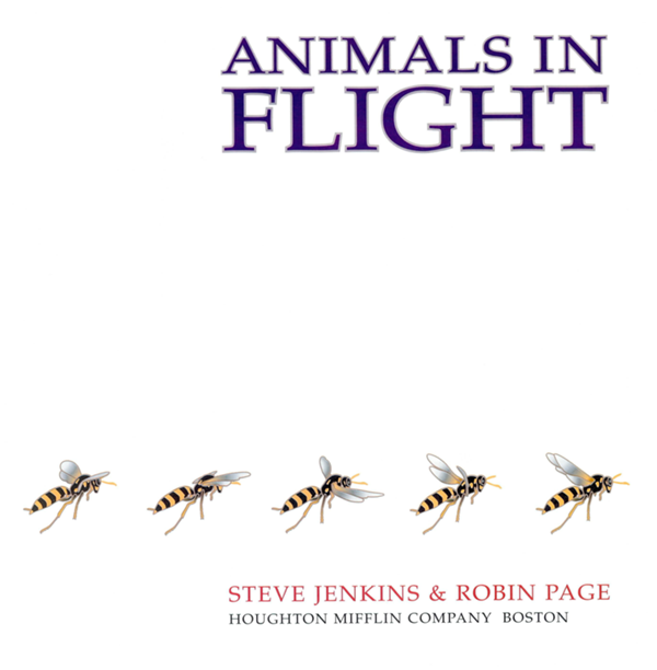 ANIMALS IN FLIGHT STEVE JENKINS ROBIN PAGE HOUGHTON MIFFLIN COMPANY BOSTON - photo 1