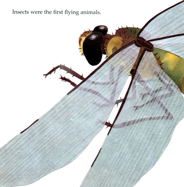 Insects were the first flying animals The ancient dragonfly lived almost 350 - photo 6