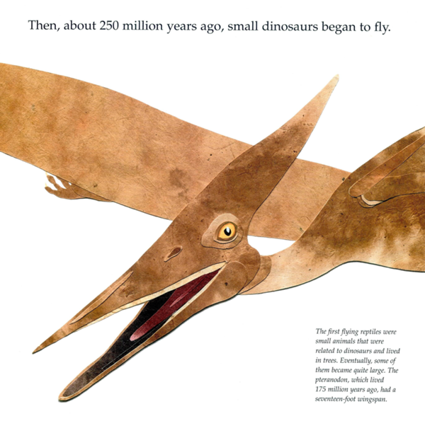 Then about 250 million years ago small dinosaurs began to fly The first - photo 9