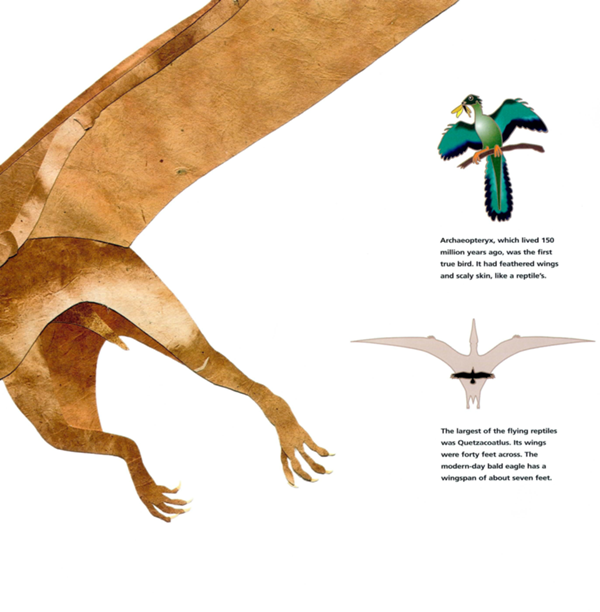 Then about 250 million years ago small dinosaurs began to fly The first - photo 10