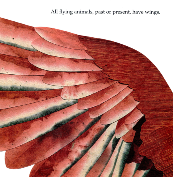 Different animals have different kinds of wings but they all work by creating - photo 16