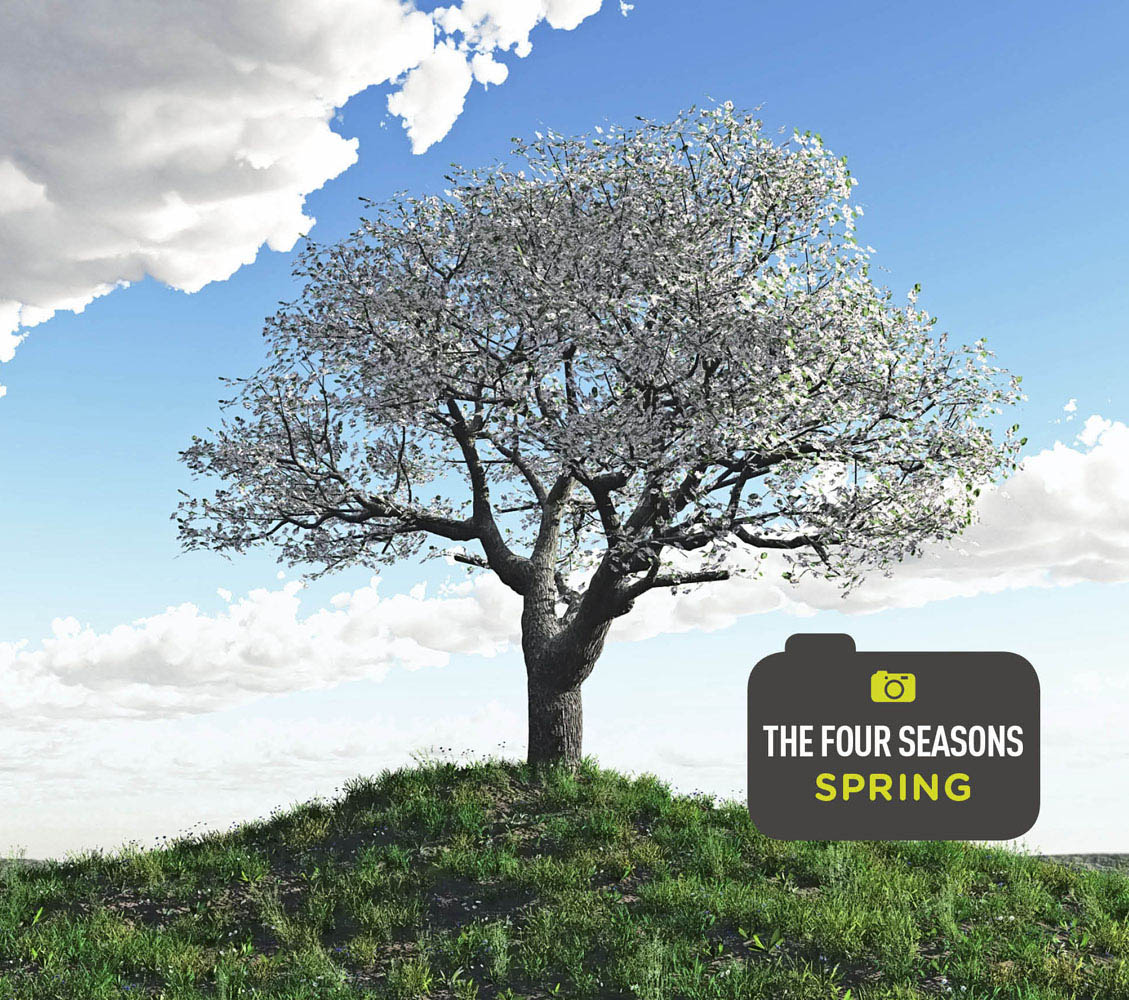 Landscape Photography Four Seasons - image 1