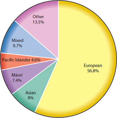 This pie chart shows the percentages of people from different ethnic groups in - photo 7