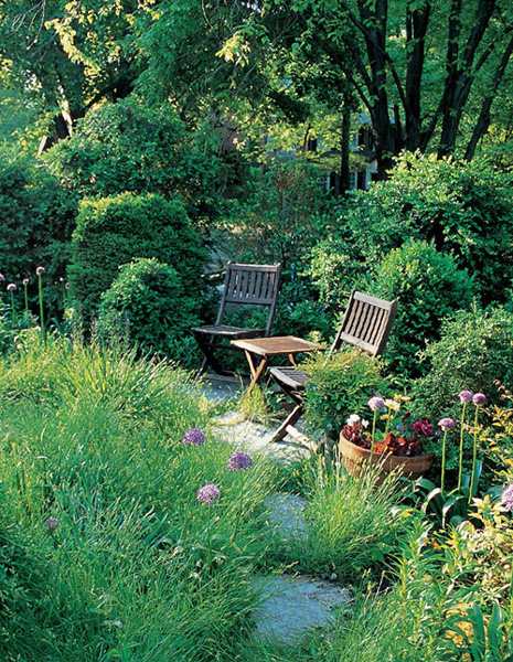 The New American Landscape Leading Voices on the Future of Sustainable Gardening - image 1