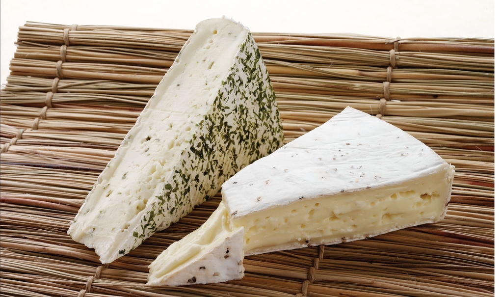 Brie was first made in a region just outside of Paris France but today its - photo 6