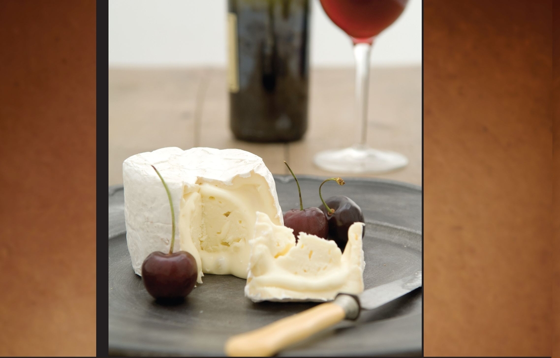 When pairing wine with cheese sometimes fruit helps to bridge the flavors of - photo 12