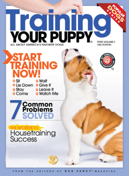 BowTie Inc. Training your Puppy