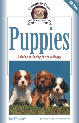 Amy Fernandez Puppies: A Complete Guide to Caring for Your Puppy