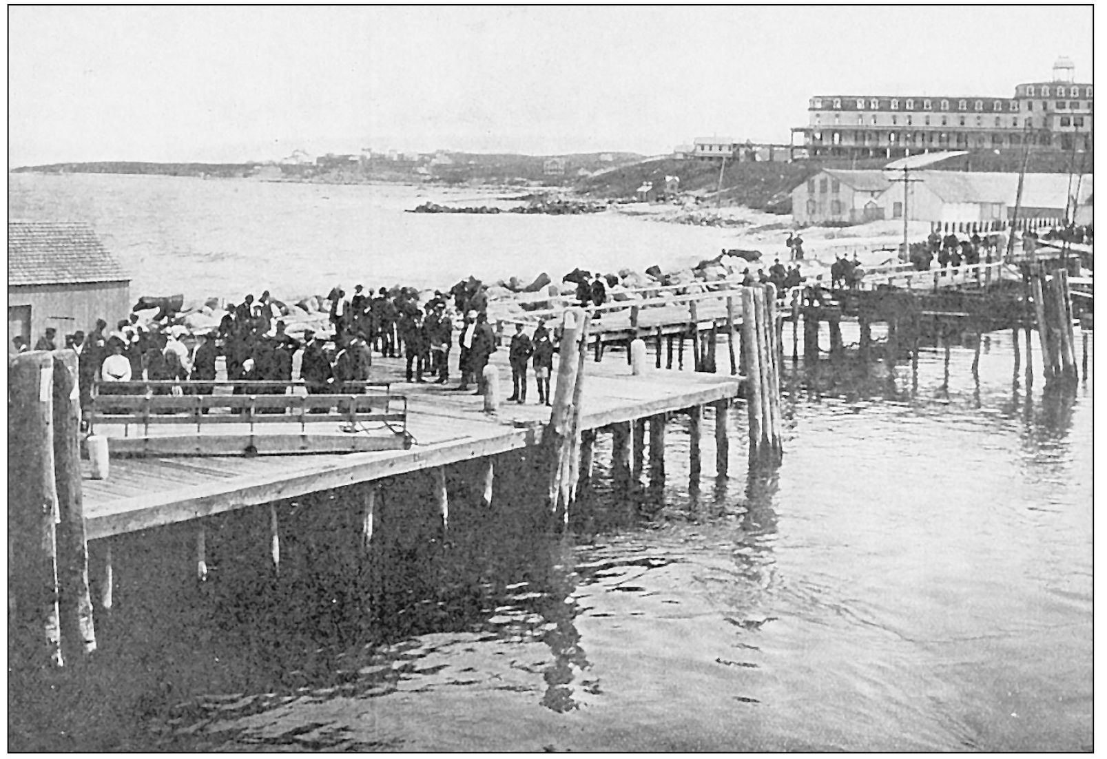 Large groups gather at the Old Harbor dock eagerly awaiting the ferry arriving - photo 5