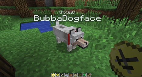 BubbaDogface the writer of this books trusty Minecraft pup owes his name and - photo 5