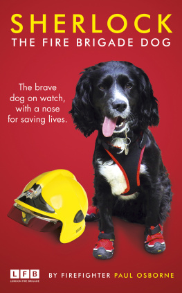 Paul Osborne - Sherlock: The Fire Brigade Dog