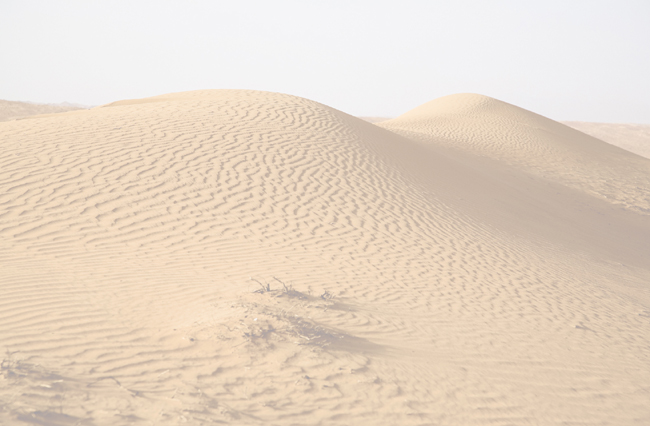 The Western Desert was the backcloth for 7th Armoured Division from its - photo 3