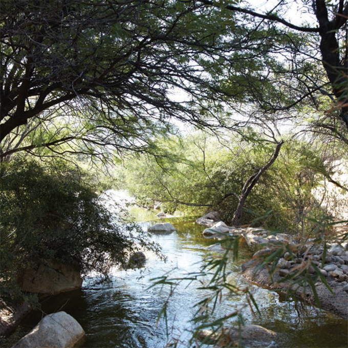 MIRAVAL RESORT SPA HAS BEEN BLESSED WITH THE MOST AMAZING TEAM OF HEALERS - photo 7