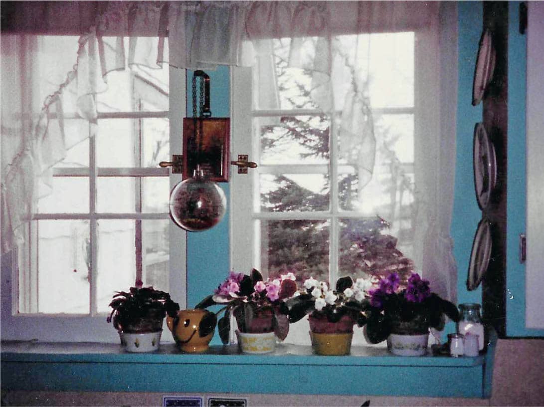 Grandma Eldreds African violets were always in bloom on her east kitchen - photo 8