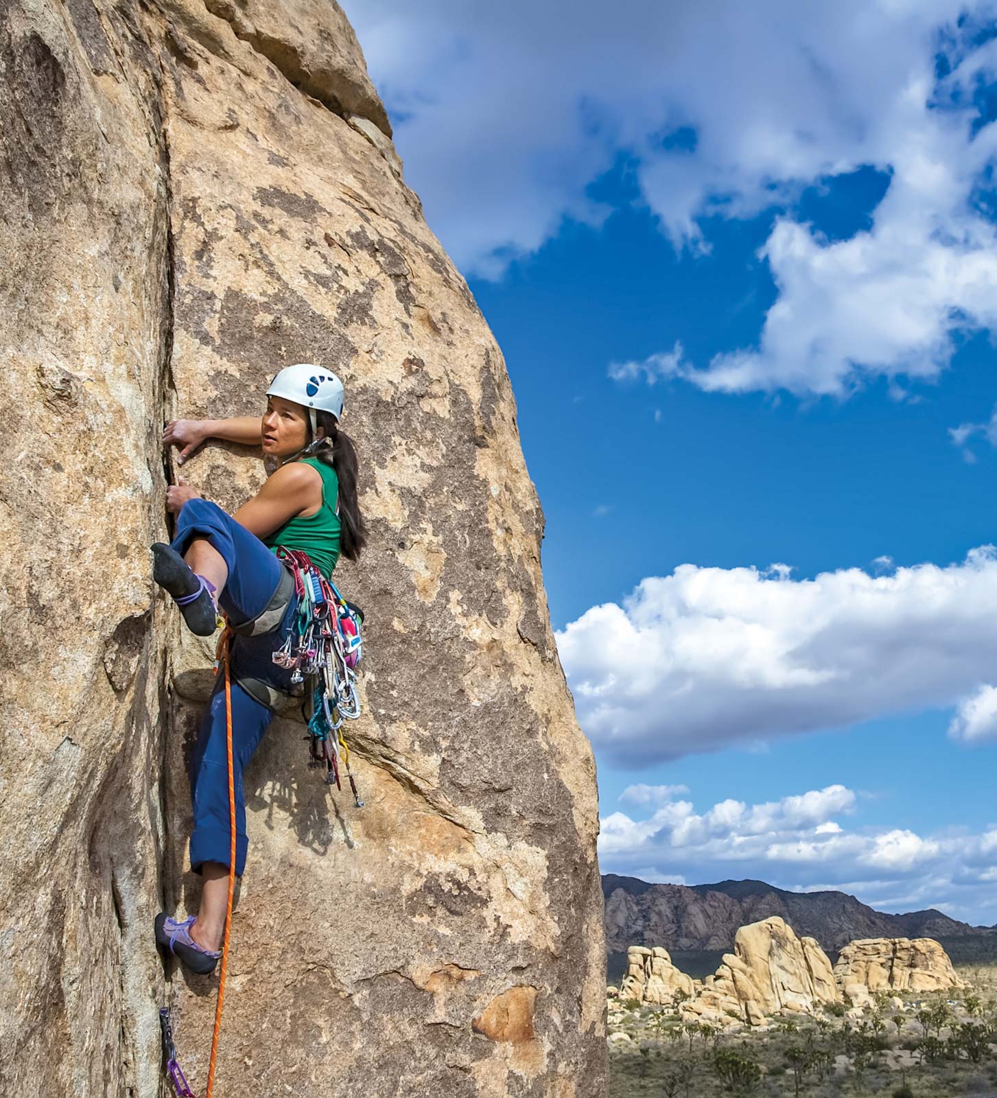 rock climbing in Joshua Tree poolside in Palm Springs DISCOVER Joshua Tree - photo 5