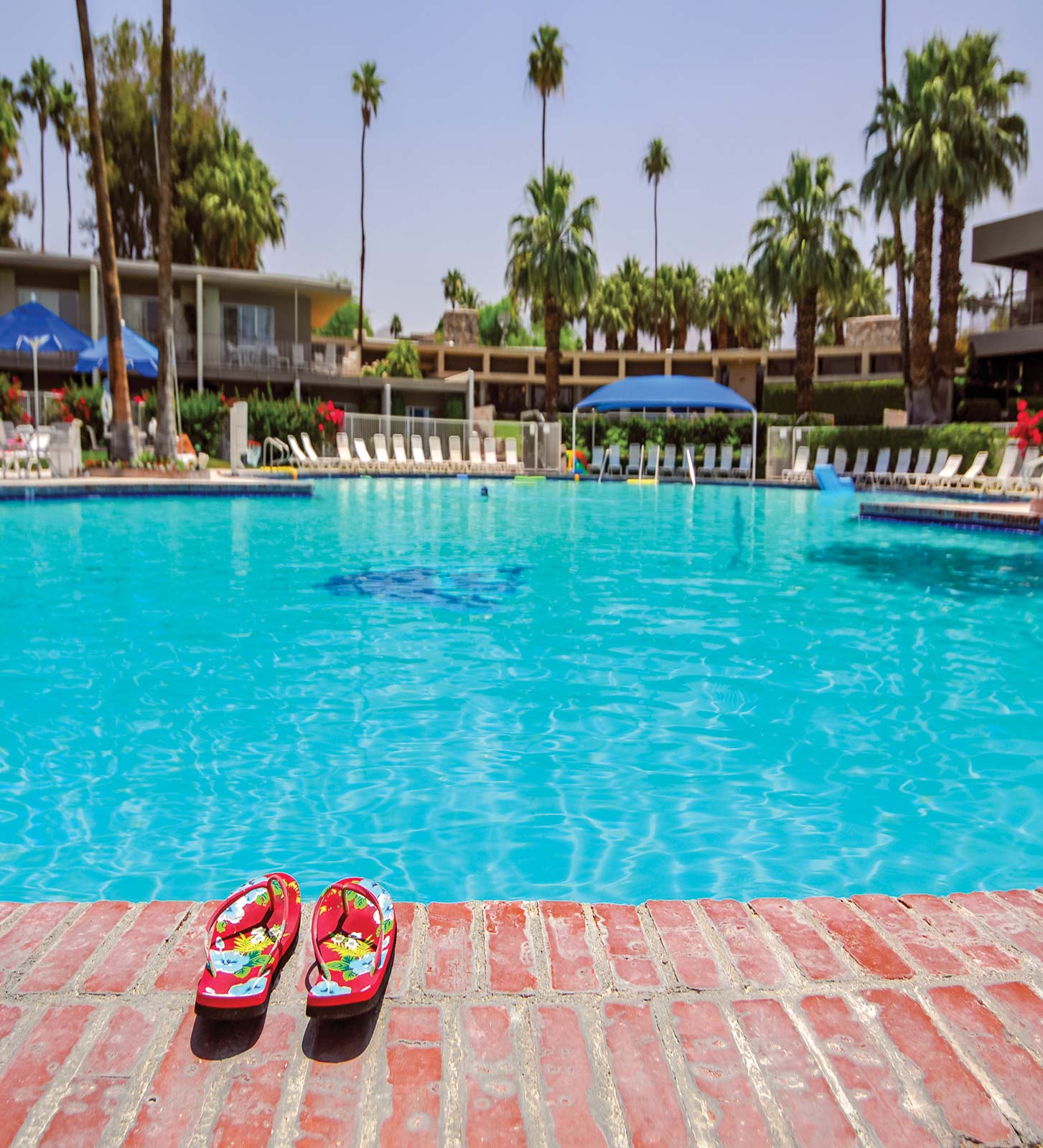 poolside in Palm Springs DISCOVER Joshua Tree Palm Springs Joshua Tree - photo 6