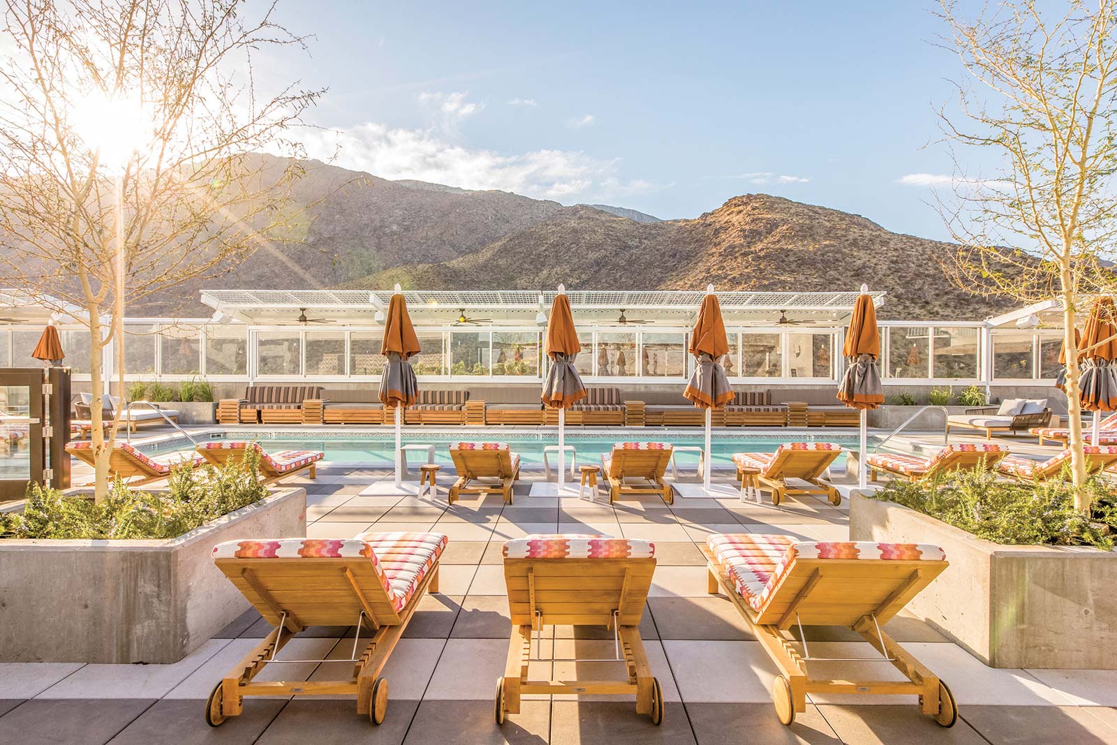 pool at the Kimpton Rowan Hotel Bloody Mary cocktails Joshua trees - photo 11