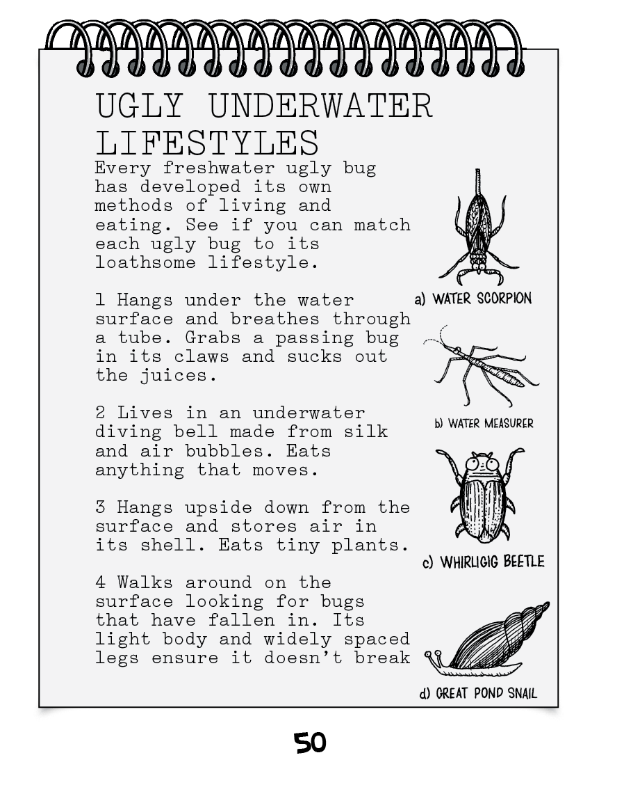 Ugly Bugs - photo 51