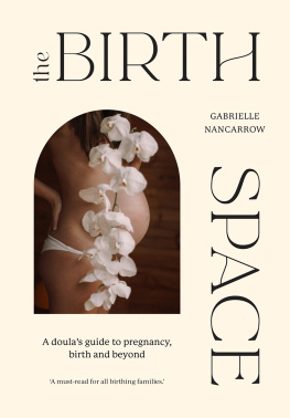 Gabrielle Nancarrow - The Birth Space: A Doulas Guide to Pregnancy, Birth and Beyond