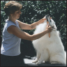 American Eskimo Dog A Comprehensive Guide to Owning and Caring for Your Dog - image 7