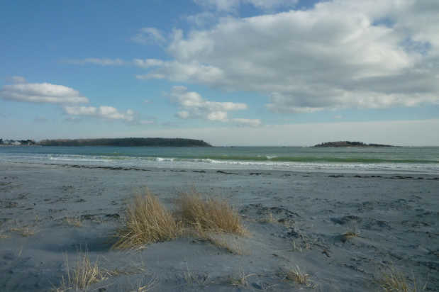 Sometimes you are outside say at the beach and noises created by other people - photo 3