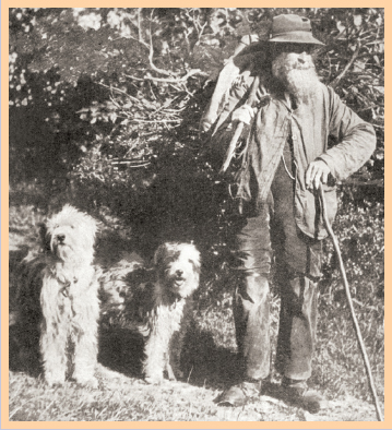 An English farmer circa 1892 with a pair of working Old English Sheepdogs - photo 12