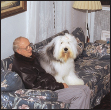 Best known for his abundant fluffy coat the Old English Sheepdog has a lot of - photo 4