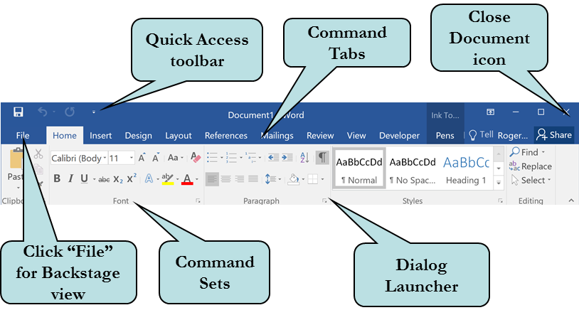 Different command icons called Command Sets appear under each Command Tab The - photo 4