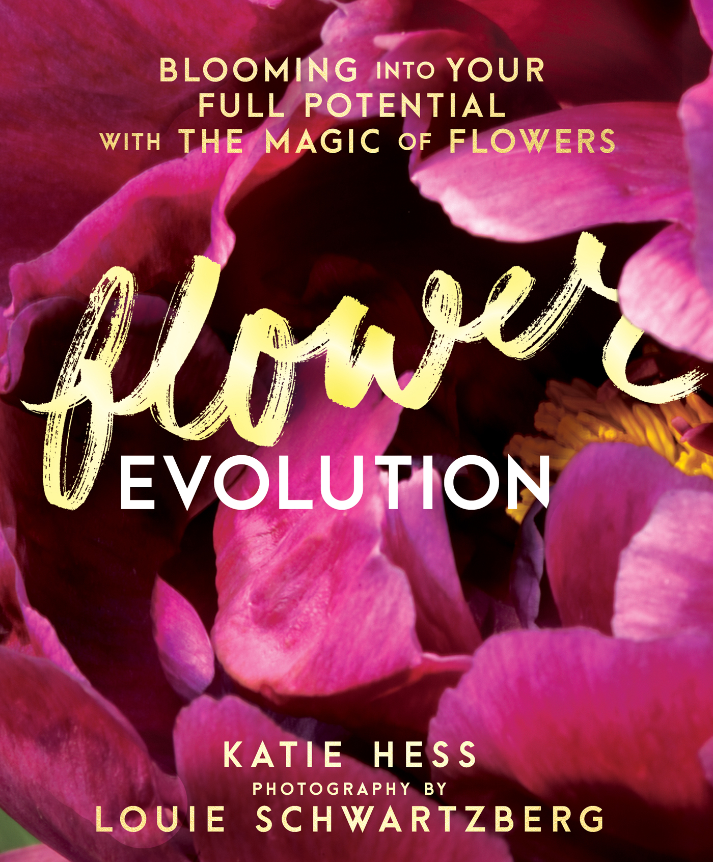 Praise for Flowerevolution both pleases the eyes and touches the soul - photo 1