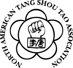 Cheng School Gao Style Baguazhang Association Tianjin China North - photo 8