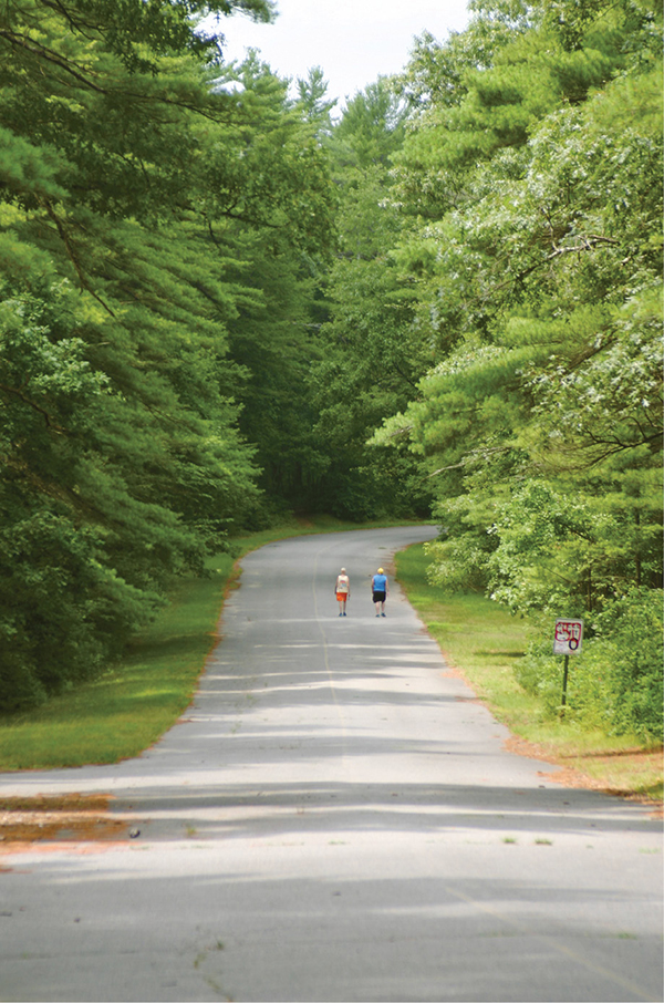 Despite the pavement Massasoit Park Road is a quiet winding trail - photo 5