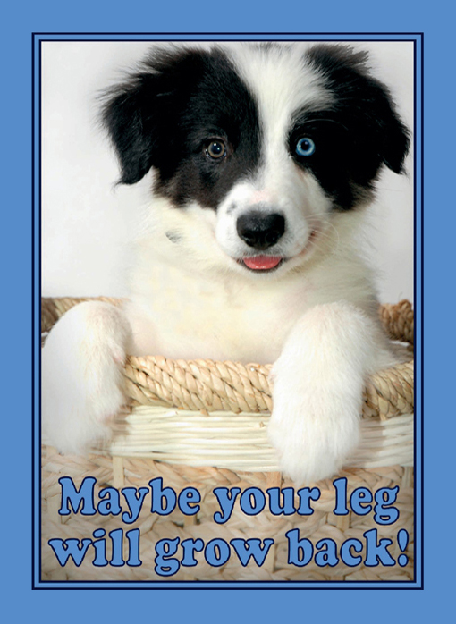 Maybe Your Leg Will Grow Back Looking on the Bright Side with Baby Animals - photo 28