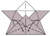 Make a rabbit ear fold by lifting the folds made in steps 9 and 10 at the same - photo 24