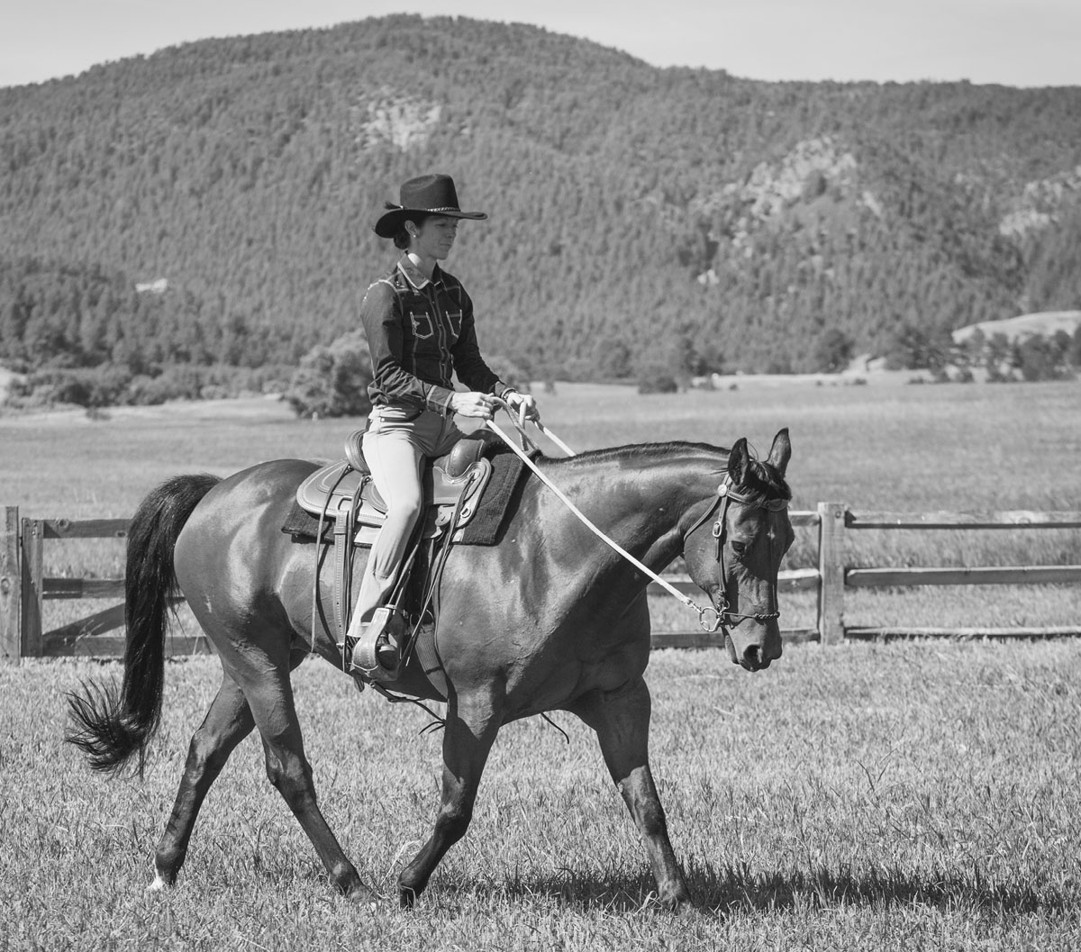 Some say it combines the superb almost intuitive riding of American cowboys - photo 5